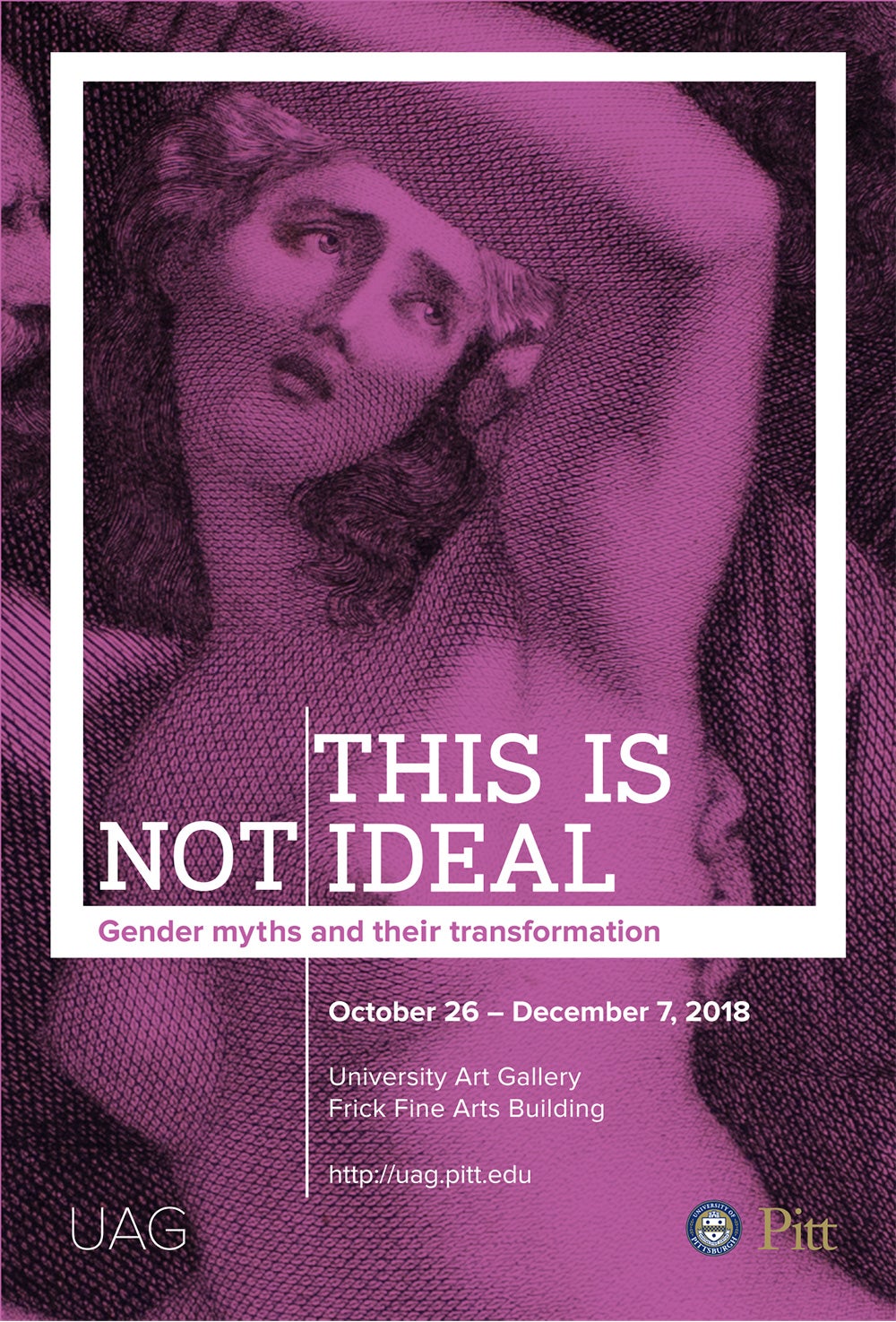 University Art Gallery Exhibition This is Not Ideal: Gender Myths and Their Transformation